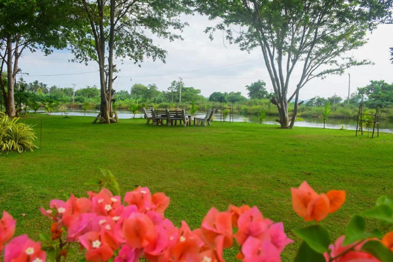 Canal Side Safari Resort Udawalawe Exterior photo
