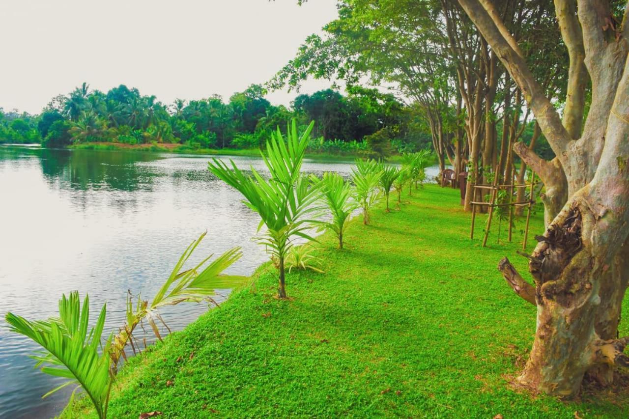 Canal Side Safari Resort Udawalawe Exterior photo
